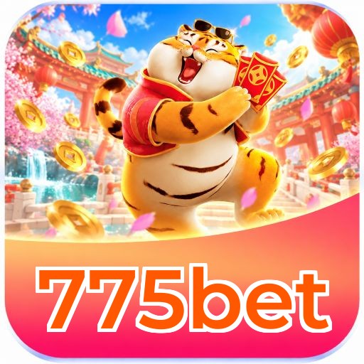 775bet APP vs Web - Comparação de recursos